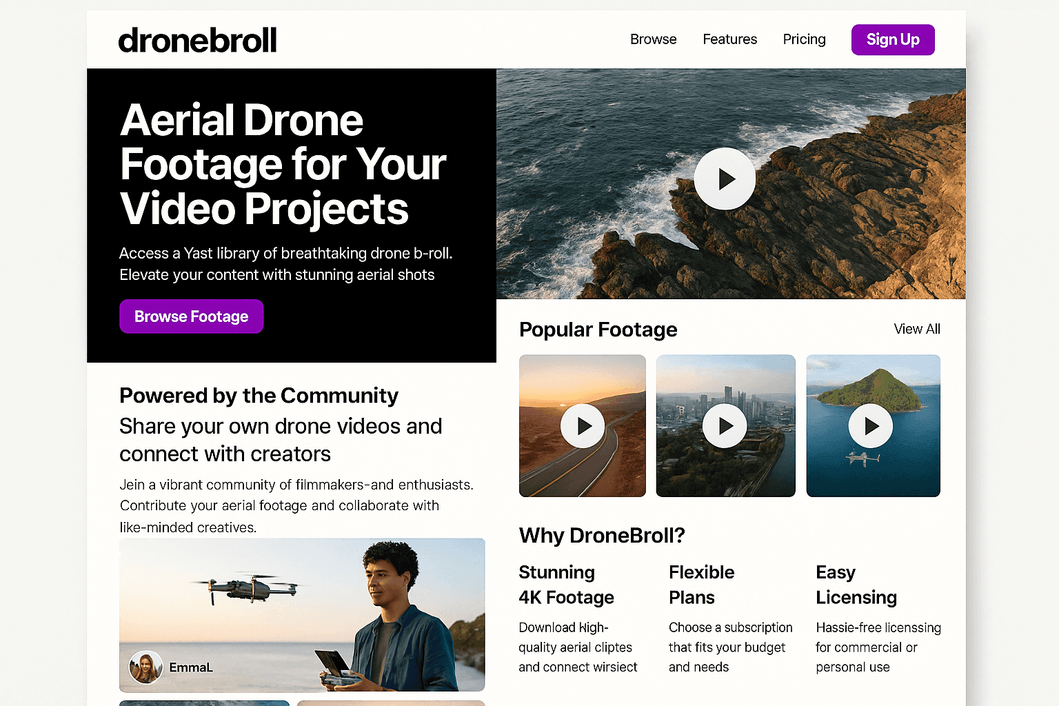 dronebroll.com website mockup